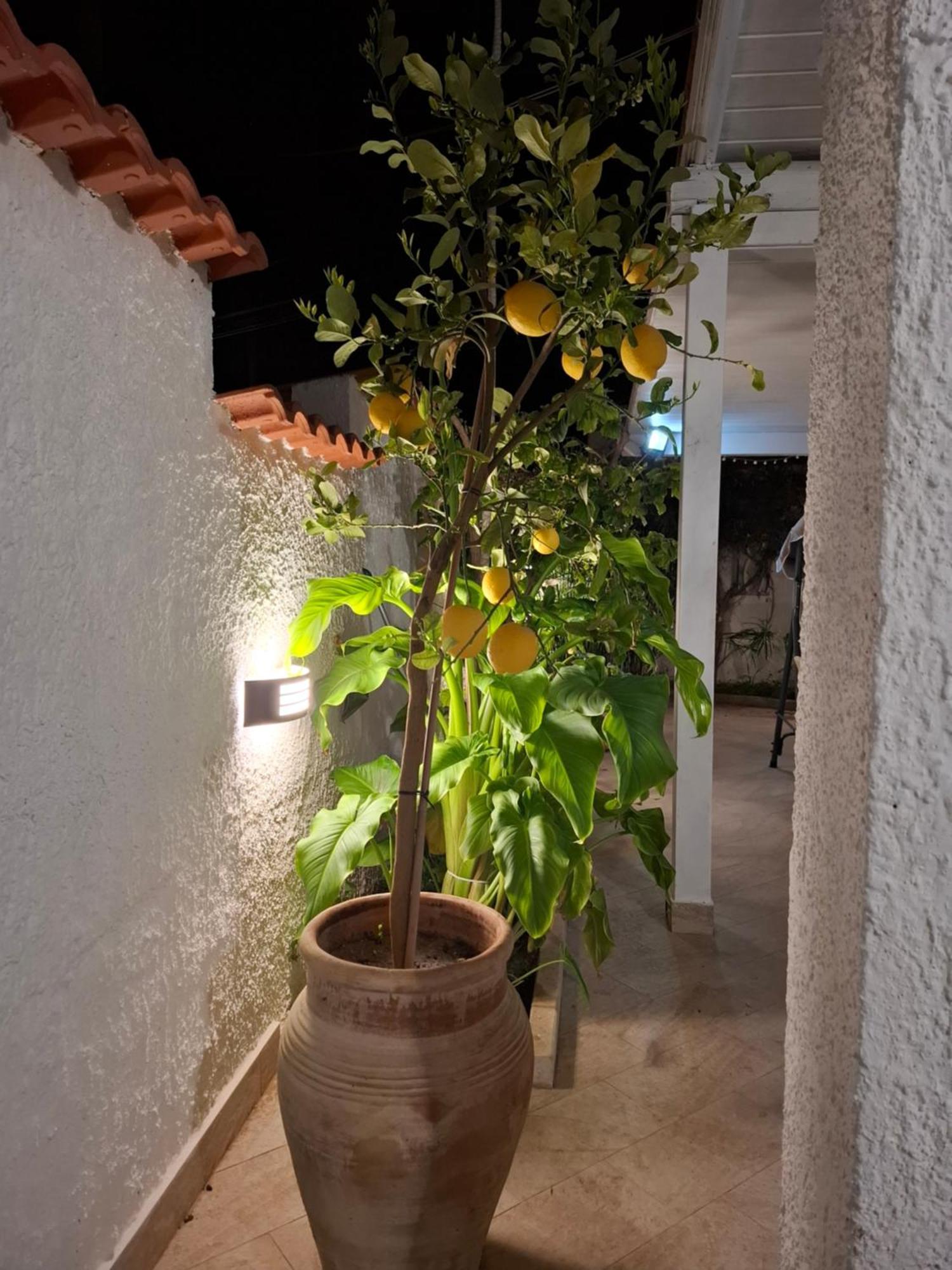 Toluammare Sicily Villa Santa Maria Del Focallo Eksteriør bilde